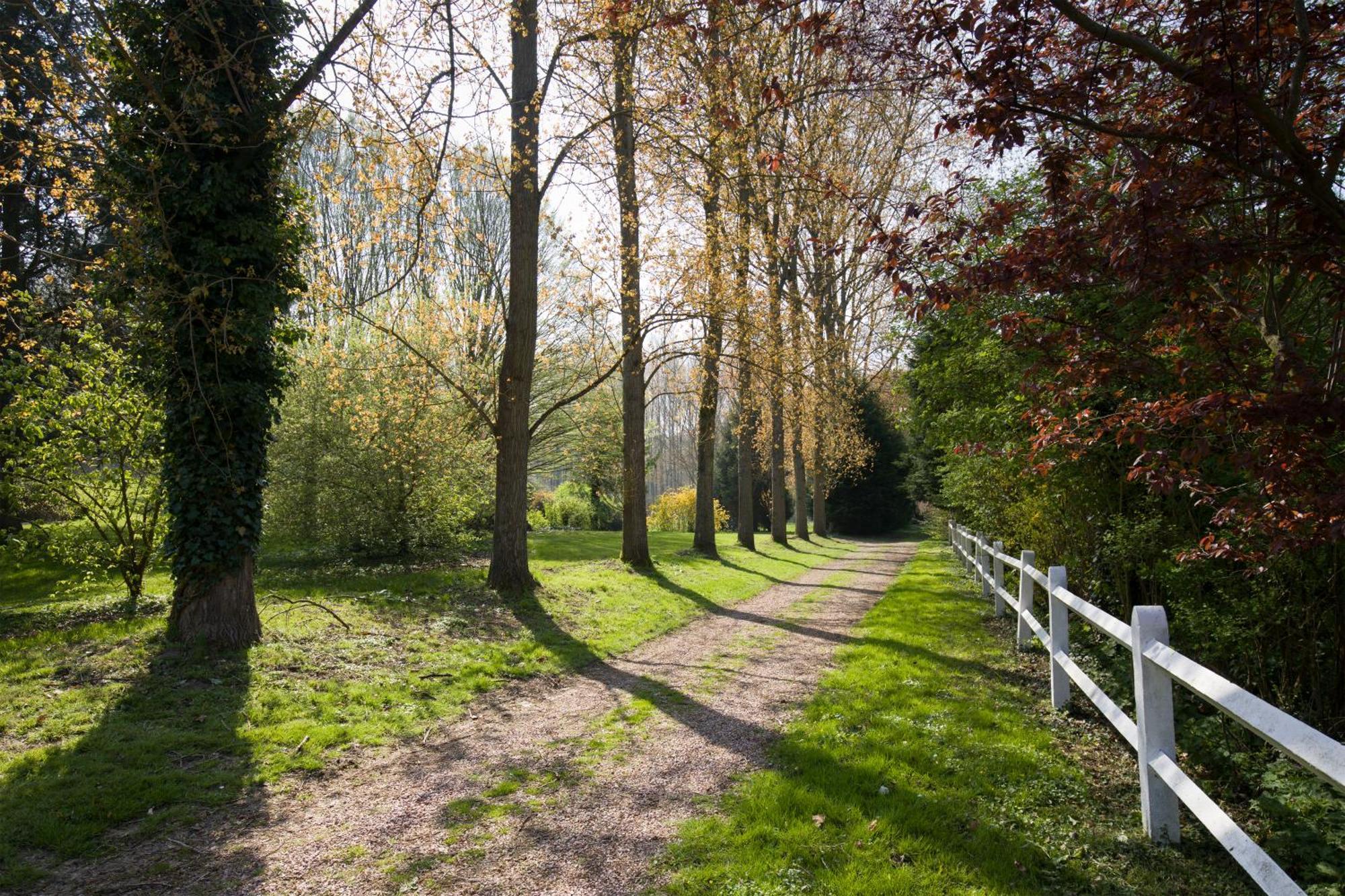 La Maison Des Chevaux Eu (Seine-Maritime) Exteriér fotografie